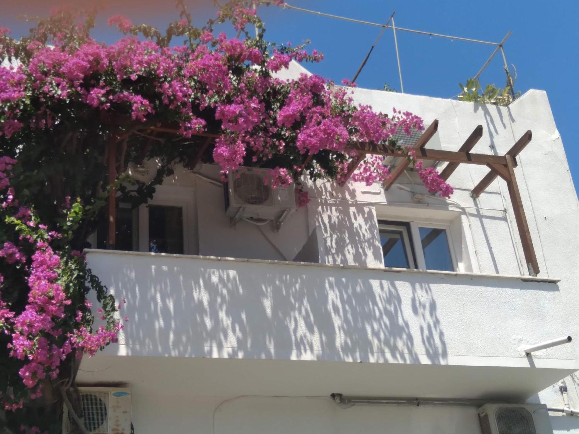 Ándros Iokasti Studios מראה חיצוני תמונה